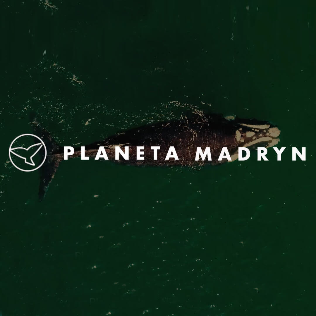 Planeta Madryn
